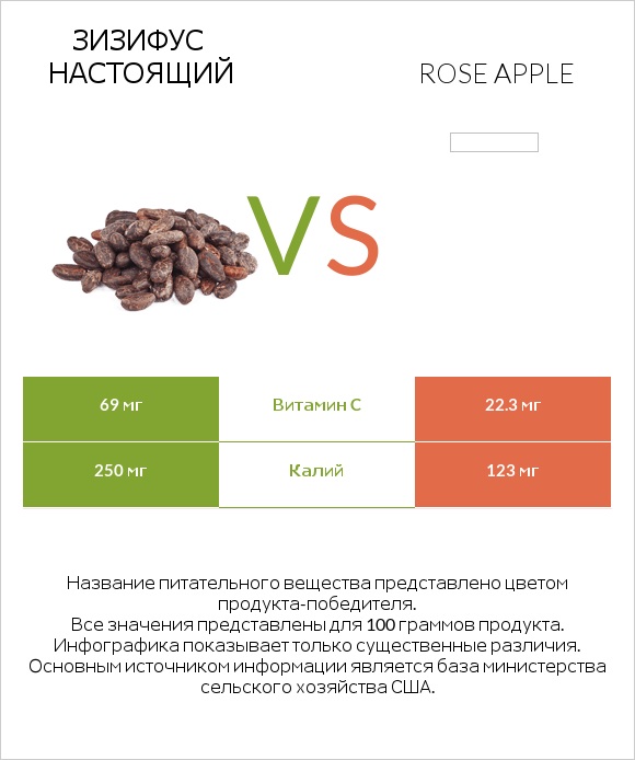 Зизифус настоящий vs Rose apple infographic