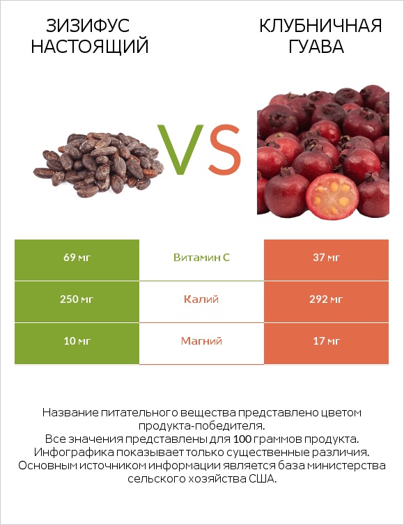 Зизифус настоящий vs Клубничная гуава infographic