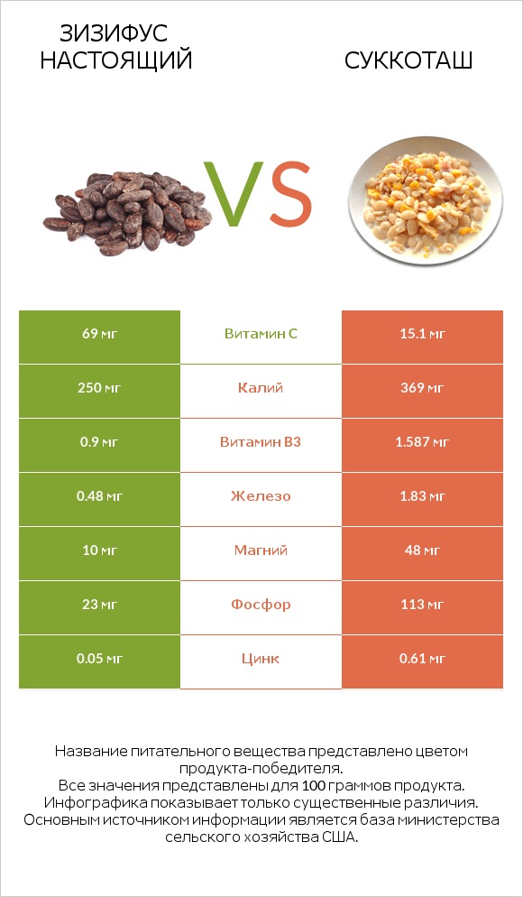 Зизифус настоящий vs Суккоташ infographic