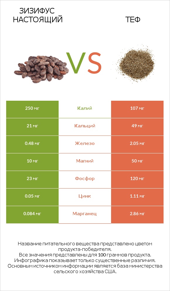 Зизифус настоящий vs Теф infographic