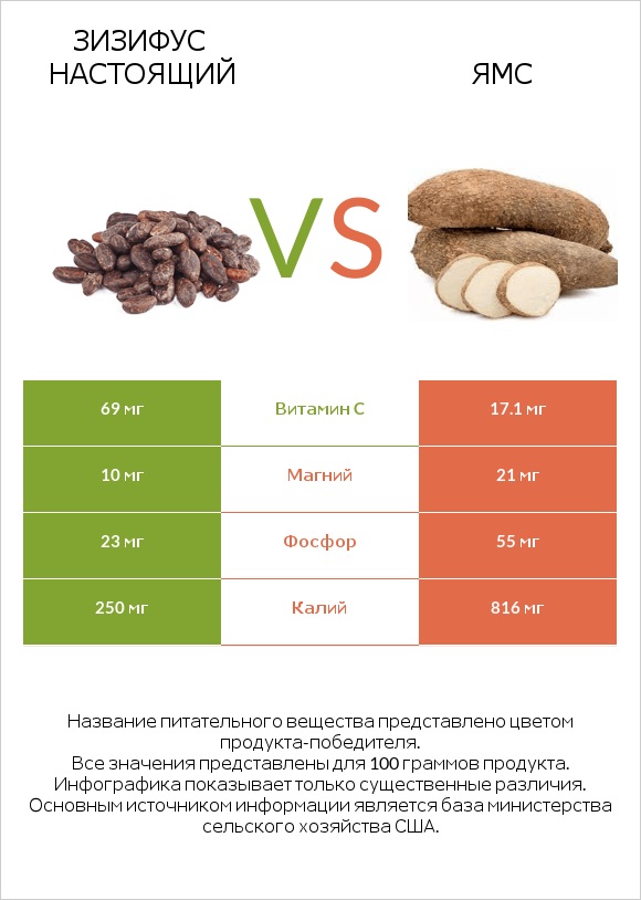 Зизифус настоящий vs Ямс infographic