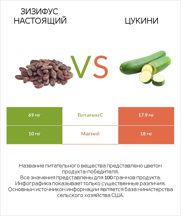 Зизифус настоящий vs Цукини infographic