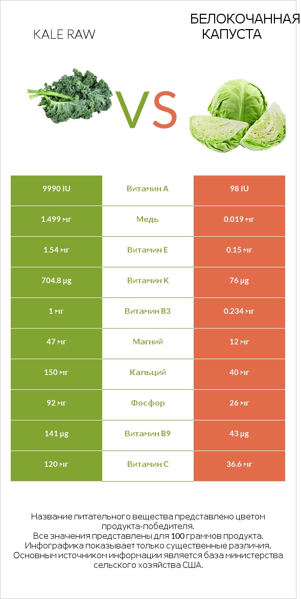 Kale raw vs Белокочанная капуста infographic