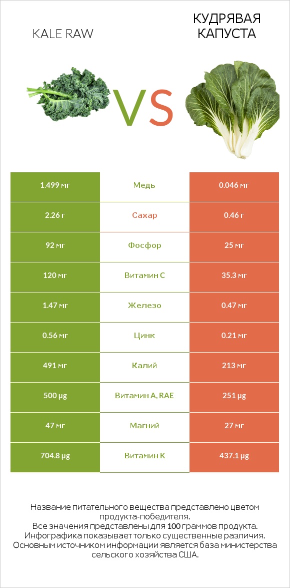 Kale raw vs Кудрявая капуста infographic
