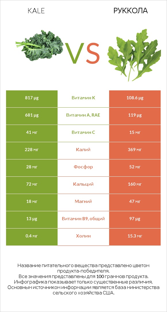 Кудрявая капуста (кале, грюнколь, браунколь) vs Руккола infographic