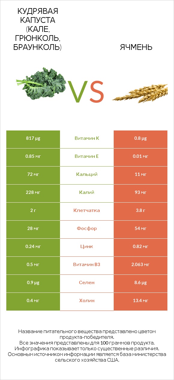 Кудрявая капуста (кале, грюнколь, браунколь) vs Ячмень infographic