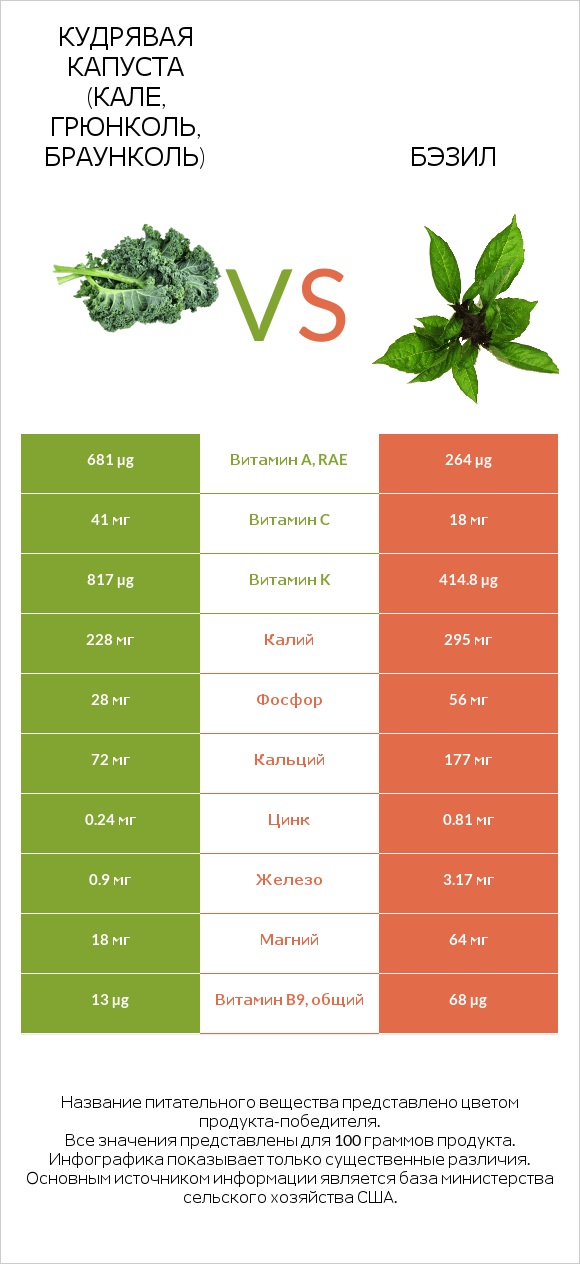 Кудрявая капуста (кале, грюнколь, браунколь) vs Бэзил infographic