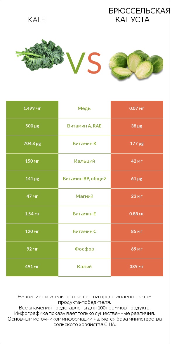 Kale vs Брюссельская капуста infographic