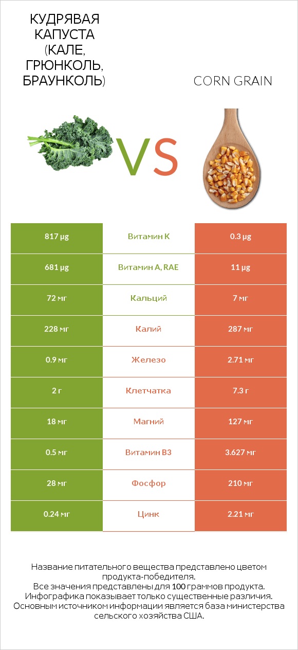 Кудрявая капуста (кале, грюнколь, браунколь) vs Corn grain infographic