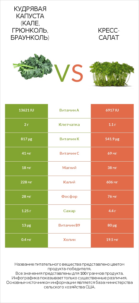 Кудрявая капуста (кале, грюнколь, браунколь) vs Кресс-салат infographic