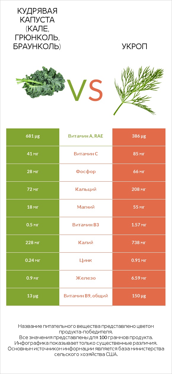 Кудрявая капуста (кале, грюнколь, браунколь) vs Укроп infographic