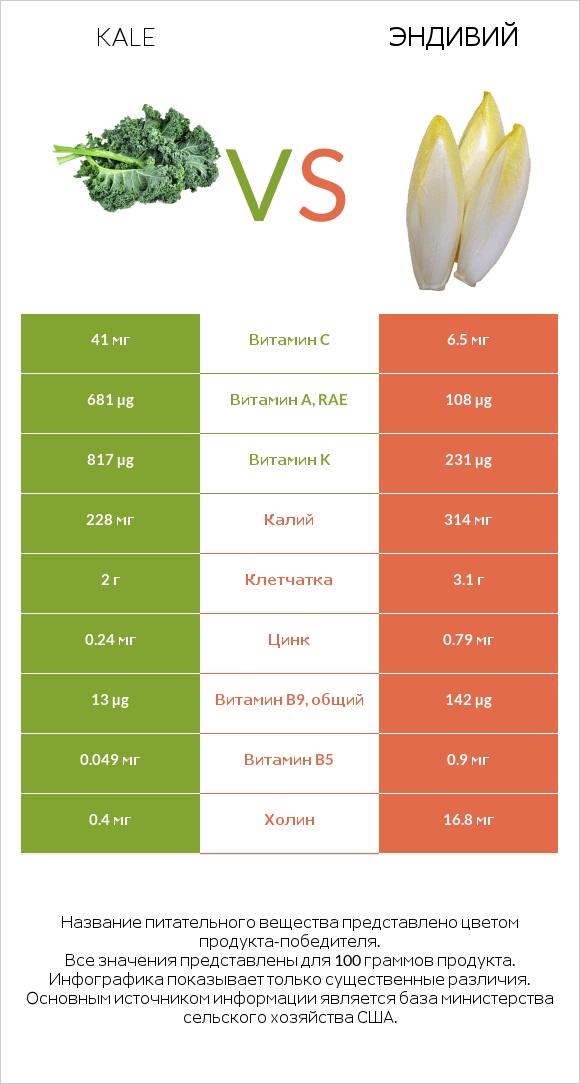 Kale vs Эндивий infographic