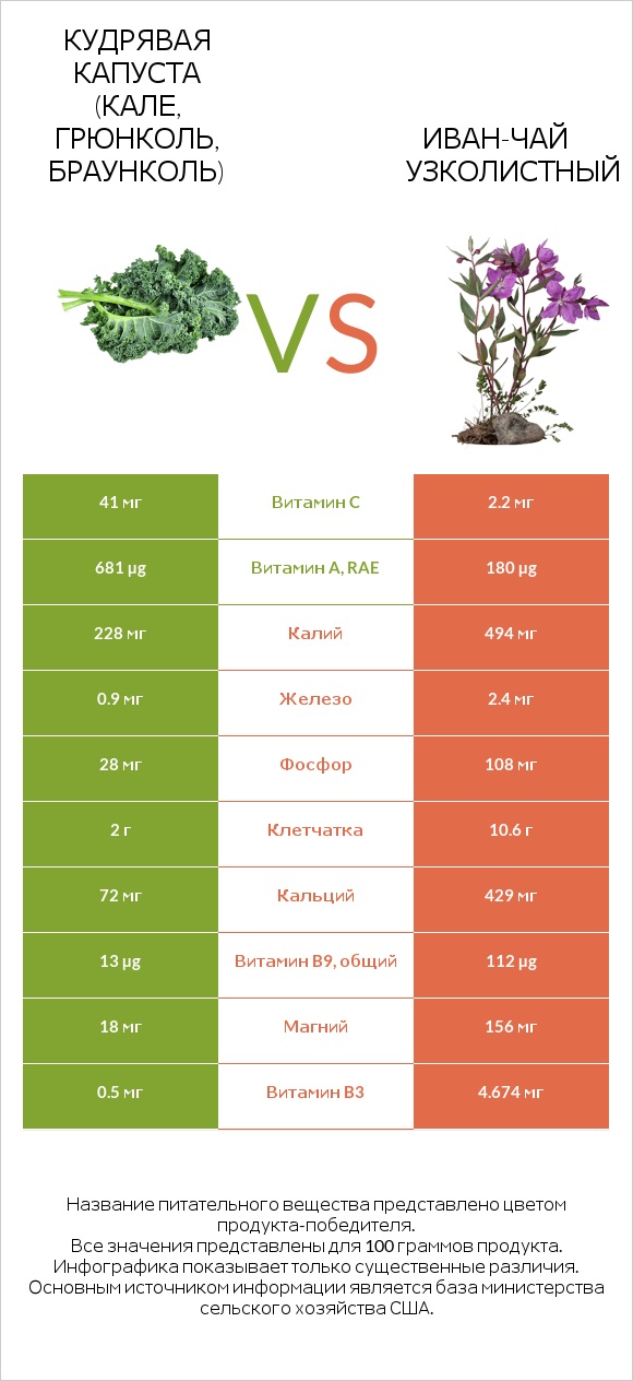 Кудрявая капуста (кале, грюнколь, браунколь) vs Иван-чай узколистный infographic