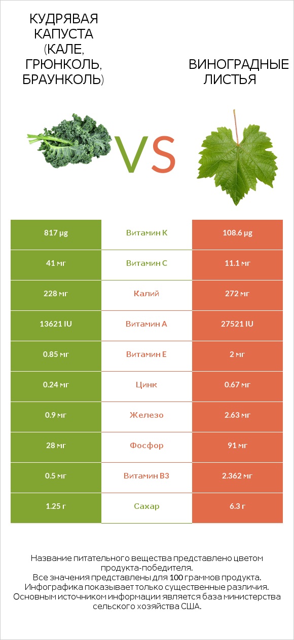 Кудрявая капуста (кале, грюнколь, браунколь) vs Виноградные листья infographic