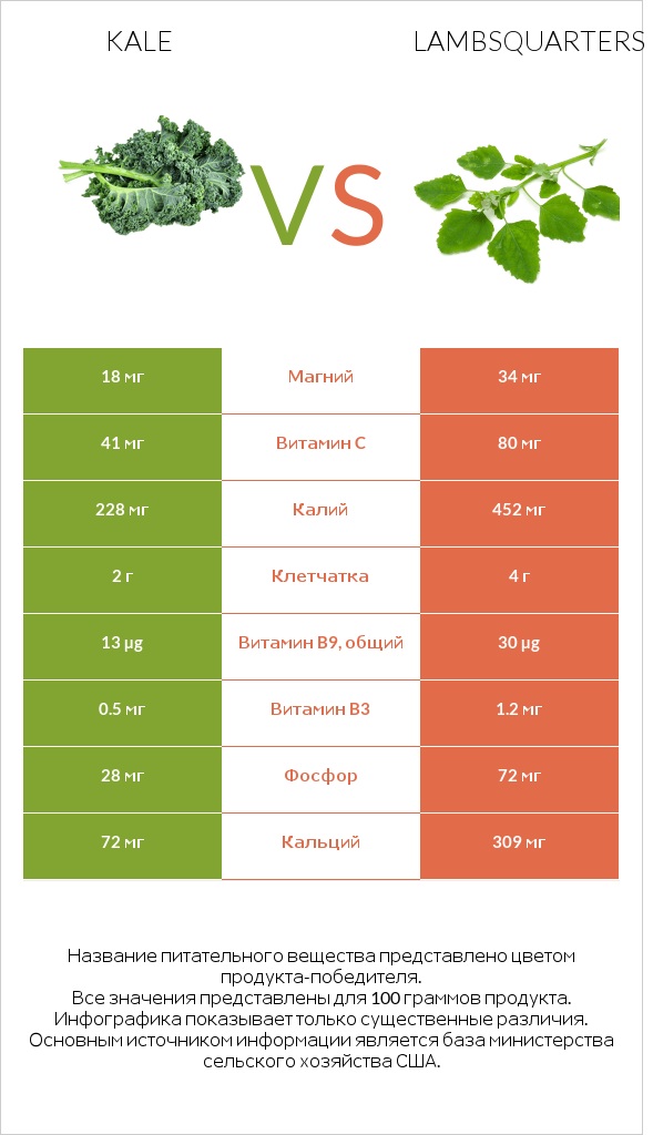 Kale vs Lambsquarters infographic