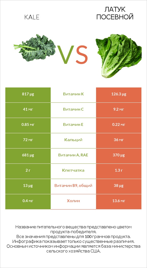 Кудрявая капуста (кале, грюнколь, браунколь) vs Латук посевной infographic