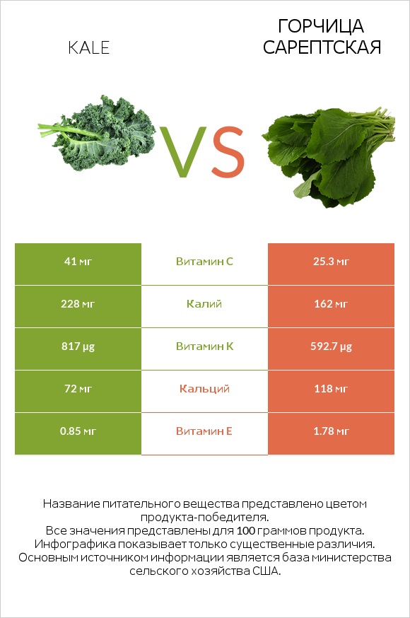 Kale vs Горчица сарептская infographic