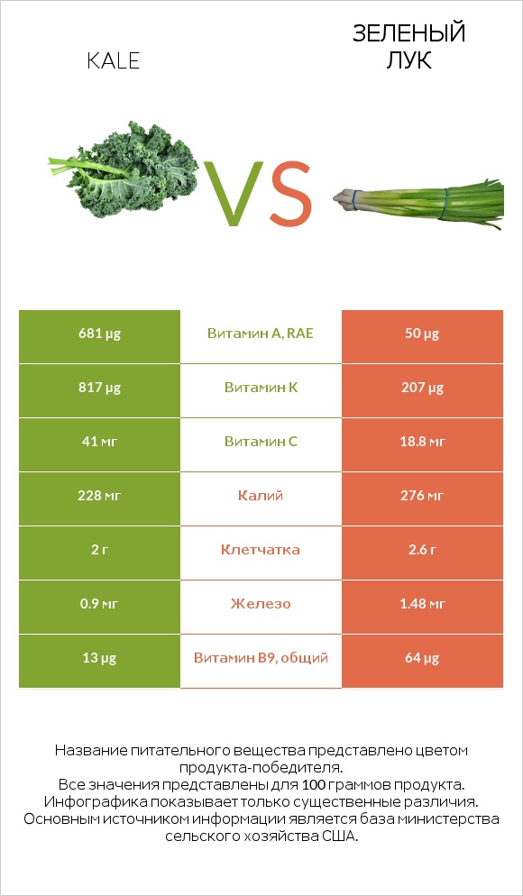 Кудрявая капуста (кале, грюнколь, браунколь) vs Зеленый лук infographic