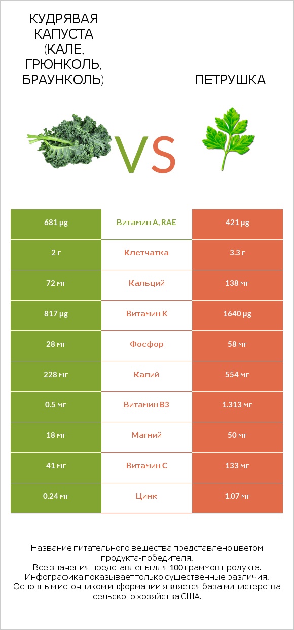 Кудрявая капуста (кале, грюнколь, браунколь) vs Петрушка infographic