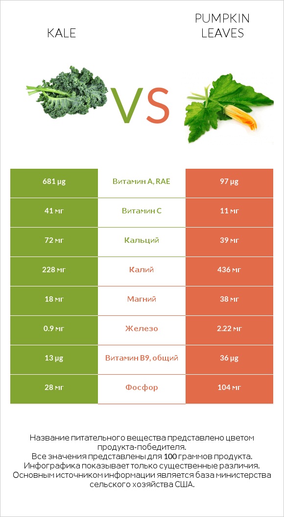 Kale vs Pumpkin leaves infographic