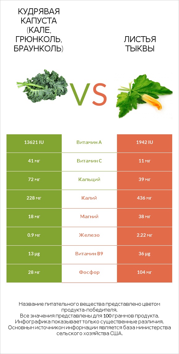 Кудрявая капуста (кале, грюнколь, браунколь) vs Листья тыквы infographic