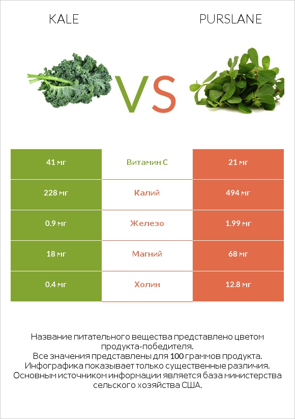 Kale vs Purslane infographic