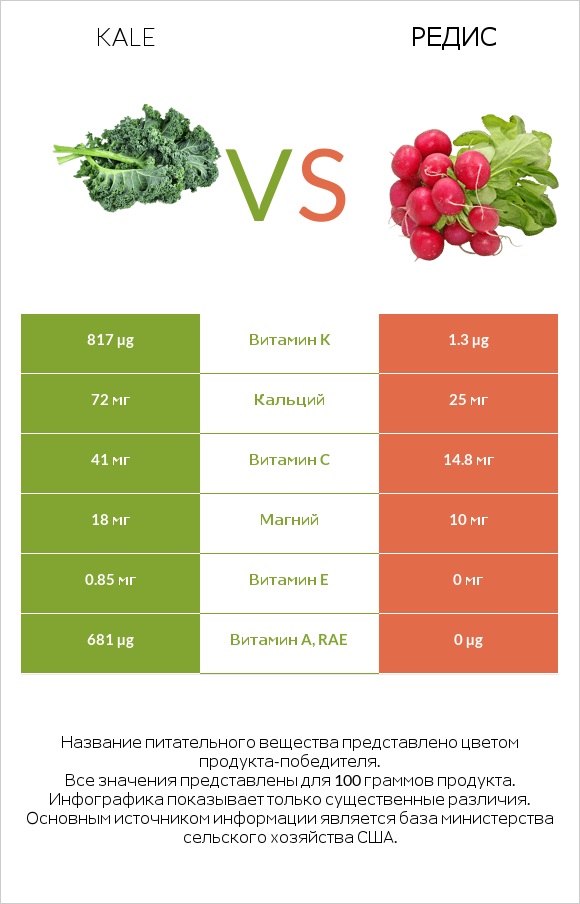 Kale vs Редис infographic
