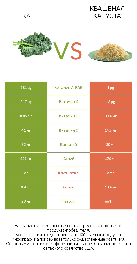 Kale vs Квашеная капуста infographic