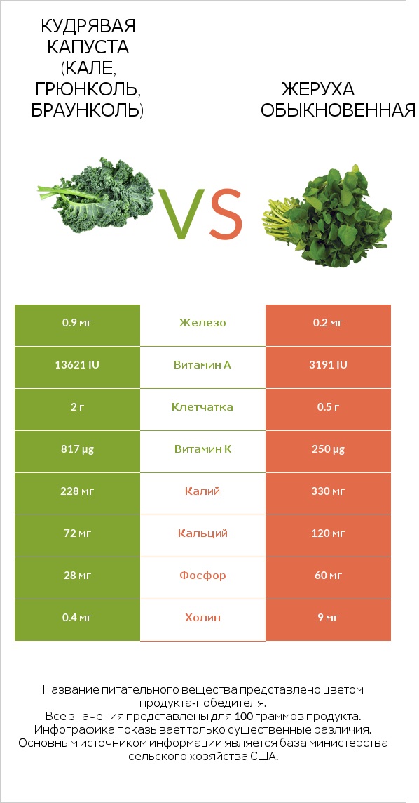 Кудрявая капуста (кале, грюнколь, браунколь) vs Жеруха обыкновенная infographic