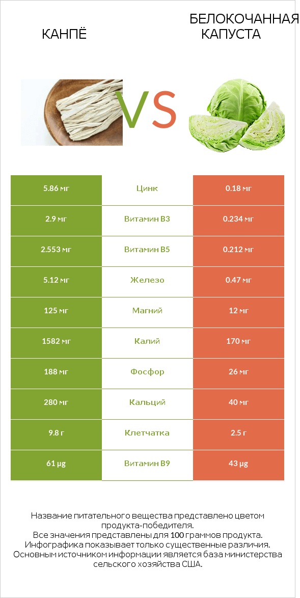 Канпё vs Белокочанная капуста infographic