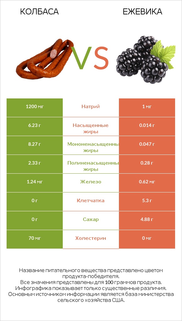 Колбаса vs Ежевика infographic