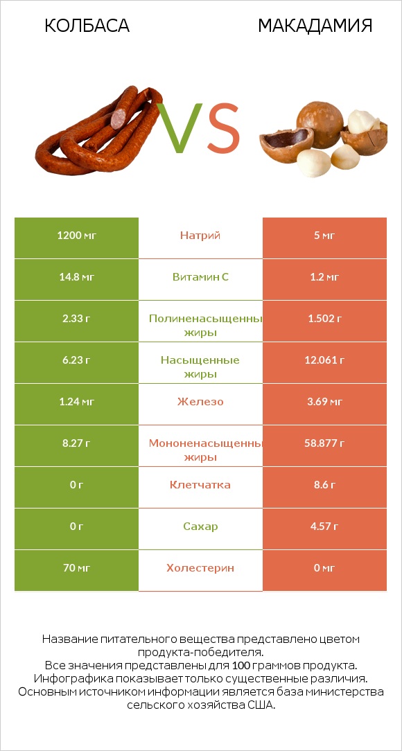 Колбаса vs Макадамия infographic
