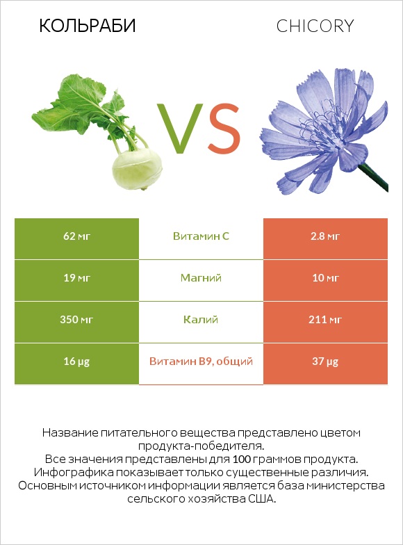 Кольраби vs Chicory infographic