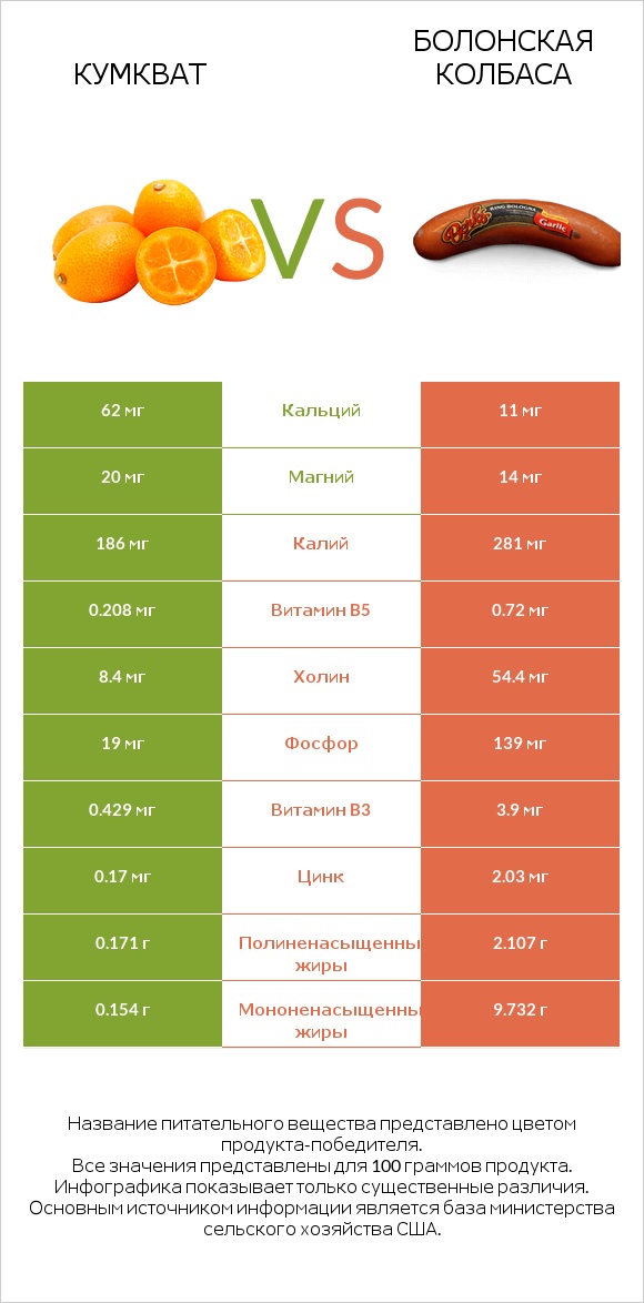 Кумкват vs Болонская колбаса infographic