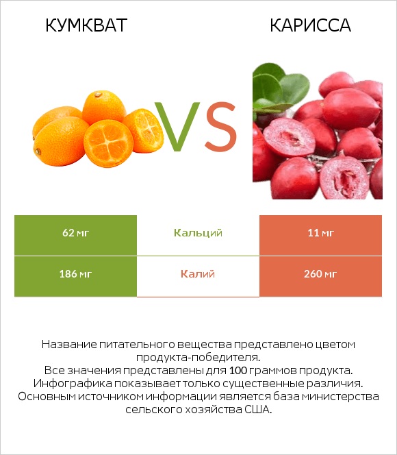 Кумкват vs Карисса infographic