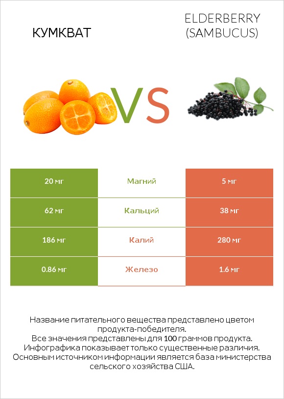 Кумкват vs Elderberry infographic