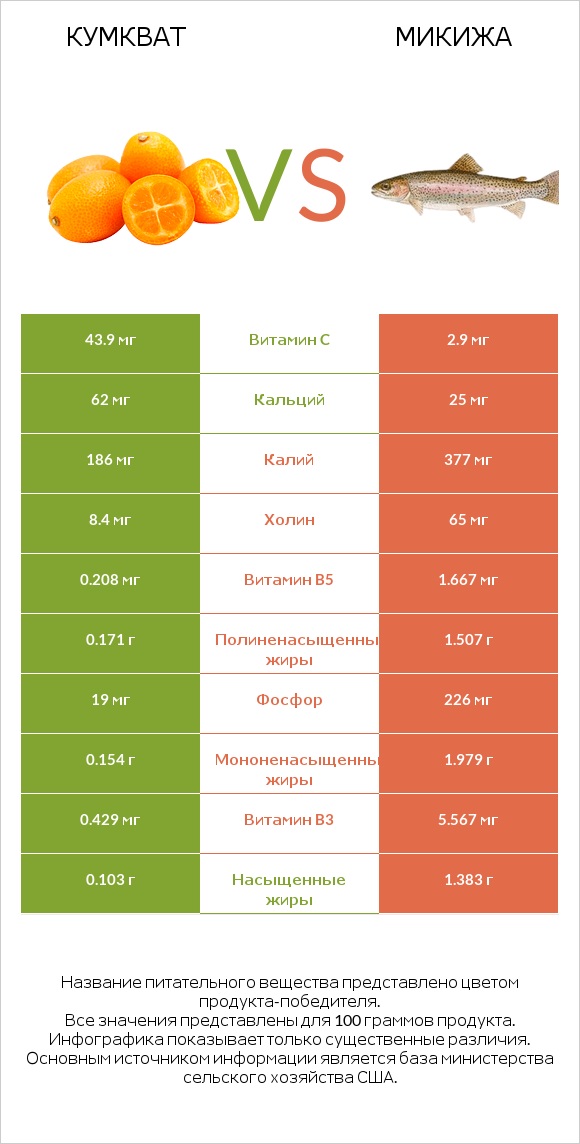Кумкват vs Микижа infographic
