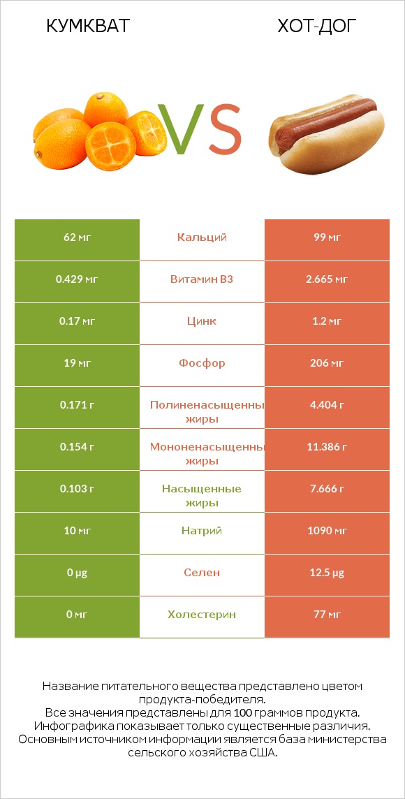 Кумкват vs Хот-дог infographic