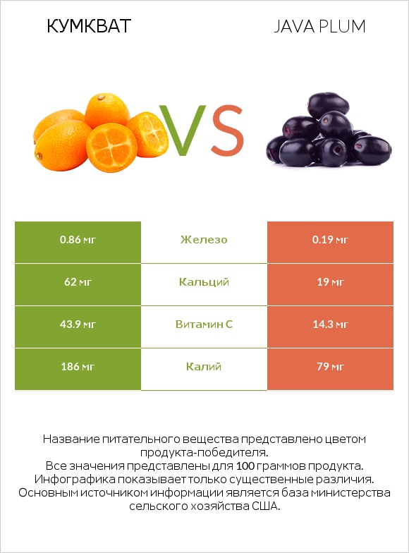 Кумкват vs Java plum infographic