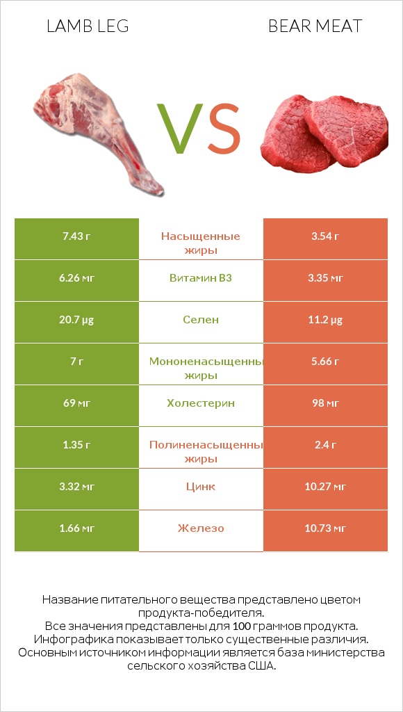 Lamb leg vs Bear meat infographic