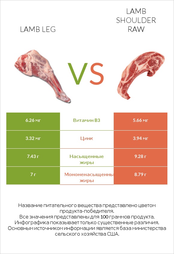 Lamb leg vs Lamb shoulder raw infographic