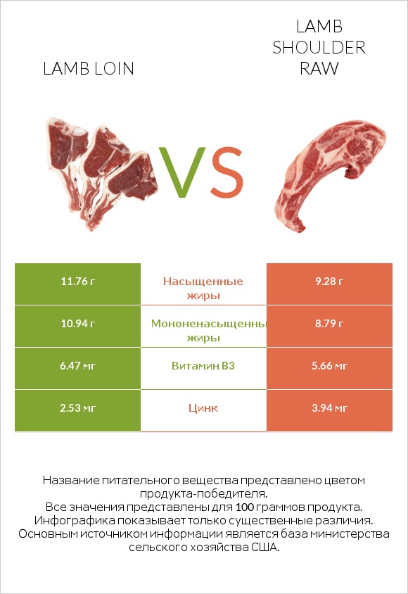 Lamb loin vs Lamb shoulder raw infographic