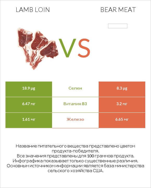 Lamb loin vs Bear meat infographic