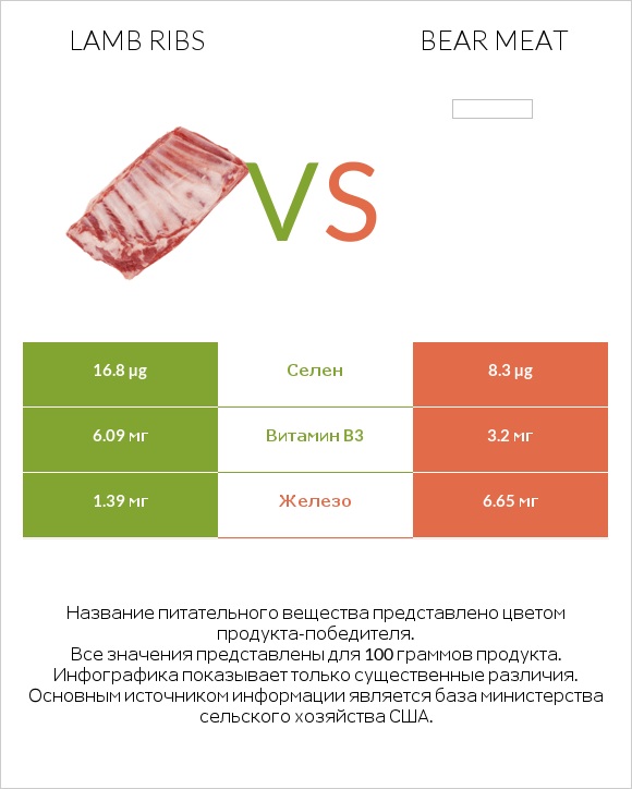 Lamb ribs vs Bear meat infographic