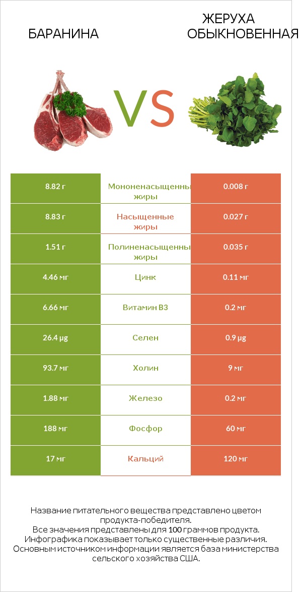 Баранина vs Жеруха обыкновенная infographic