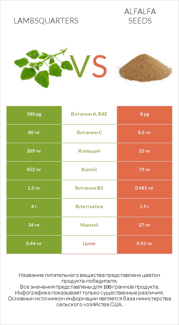 Lambsquarters vs Alfalfa seeds infographic