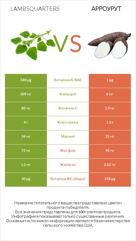 Lambsquarters vs Арроурут infographic