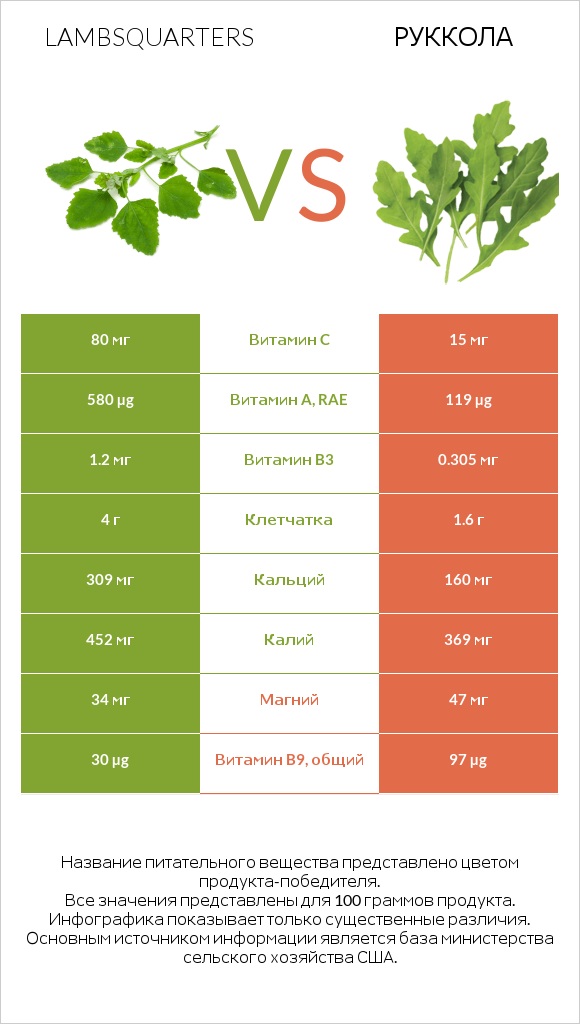 Марь белая (Марь обыкновенная) или Листья мари белой vs Руккола infographic