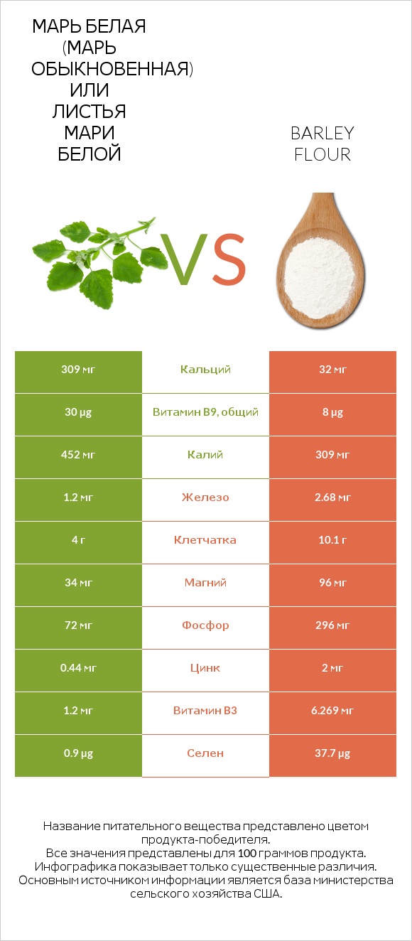 Марь белая (Марь обыкновенная) или Листья мари белой vs Barley flour infographic