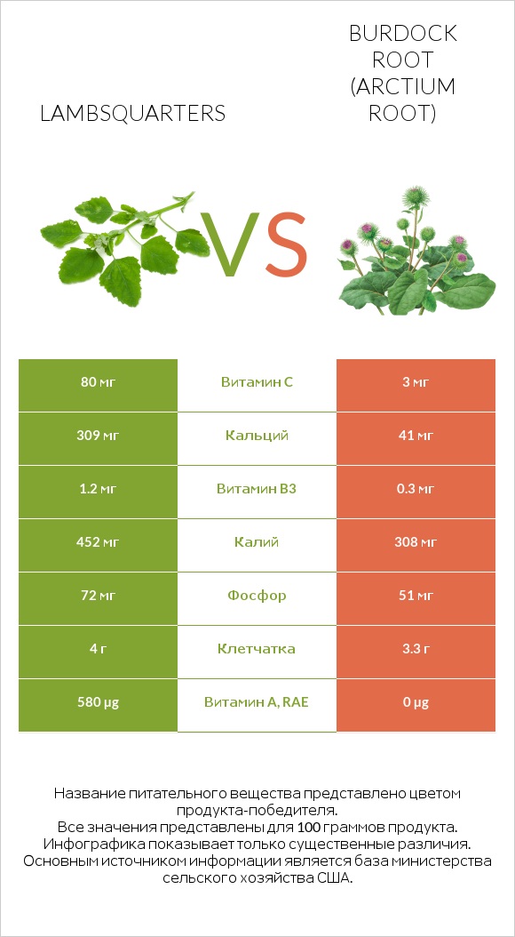 Lambsquarters vs Burdock root infographic
